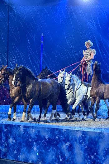 aufregende Pferdenummern (&copy;Foto: Martin Schmitz) 